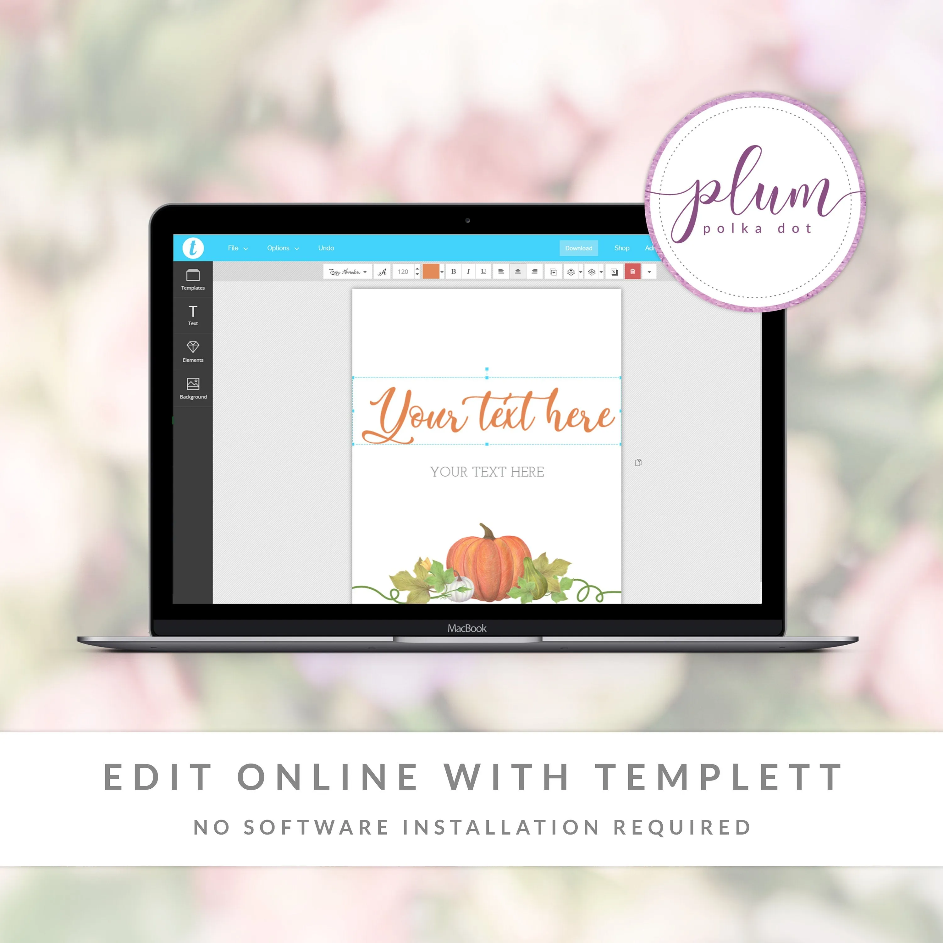Little Pumpkin Baby Shower Sign Bundle, Printable Fall Sip and See Signs, Editable INSTANT DOWNLOAD - HP100