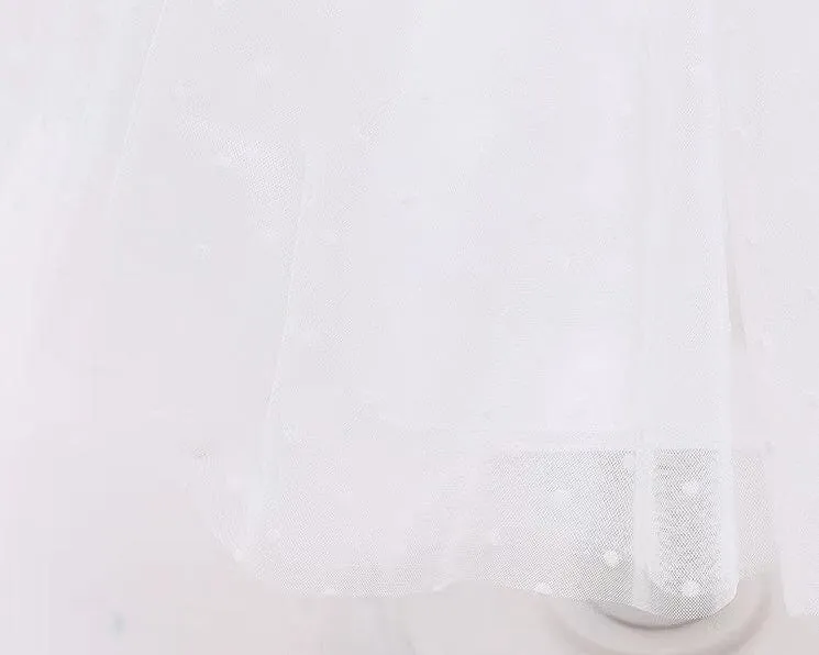 Nico Pleated Lace Sleeveless Party Tutu Dress
